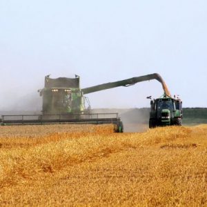 Grain Walling